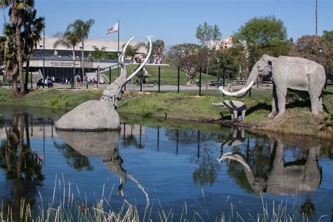 La Brea Tar Pits: Fantastik Bir Zaman Yolculuğu İçin Doğal Bir Tuvalet!