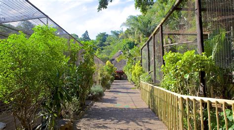 Umgeni River Bird Parkı: Durban'da Güzel Bir Gün İçin Tropikal Bir Cennet!